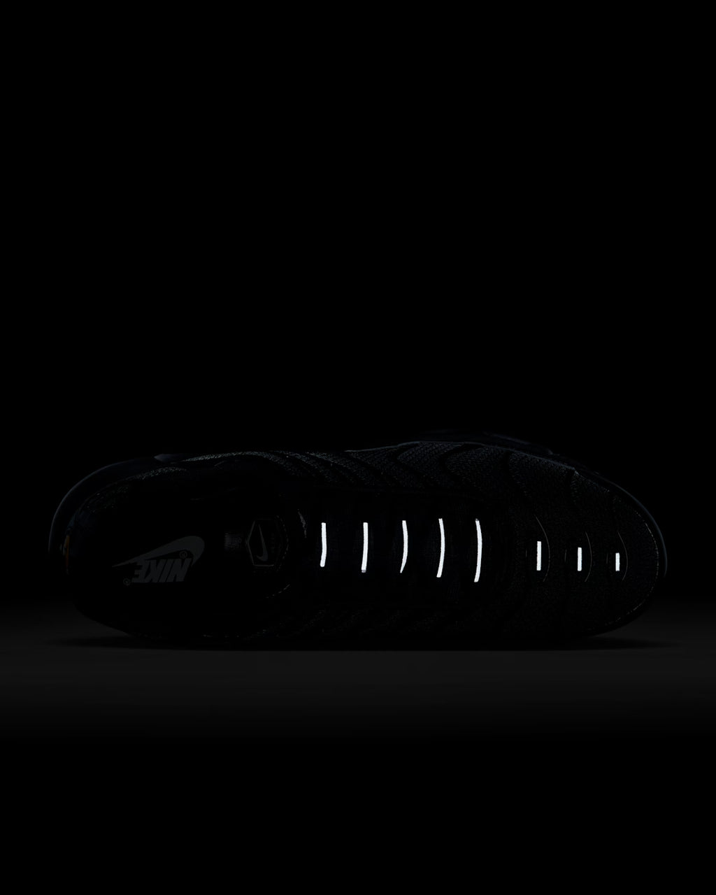 Air Max Plus