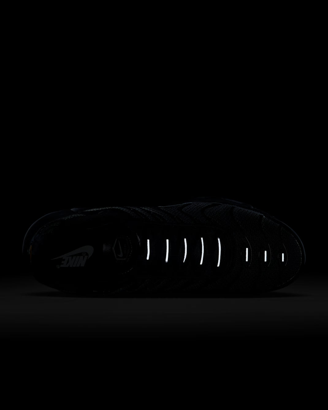 Air Max Plus